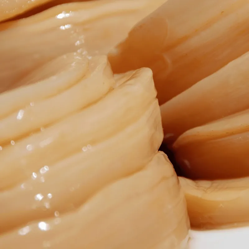 Kombucha-SCOBY